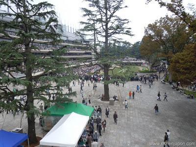 Especial Halloween & Hipodromo de Tokyo