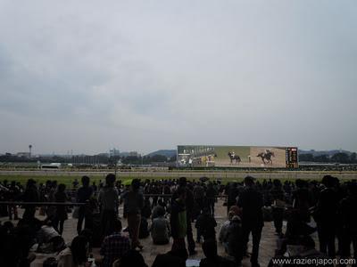 Especial Halloween & Hipodromo de Tokyo