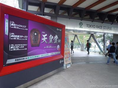 Especial Halloween & Hipodromo de Tokyo