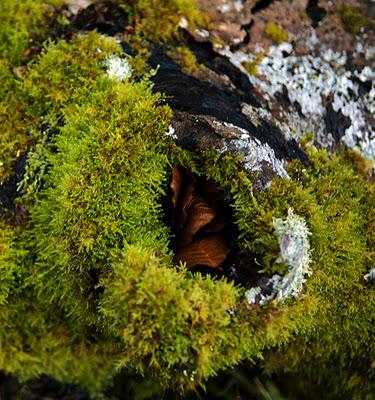 Fotografias Cantabras