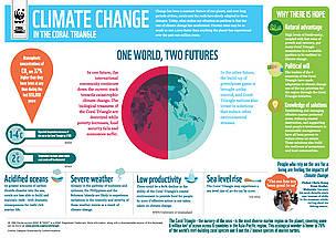 coraltriangleinfographicclimatechange 409379 Són útiles las infografías para las ONG