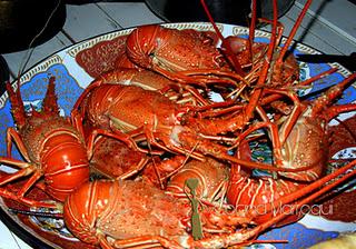 Felicidades de zaaluk con remolacha Deivid y olivita buen “rollito”