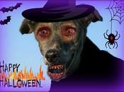 Feliz noche halloween...