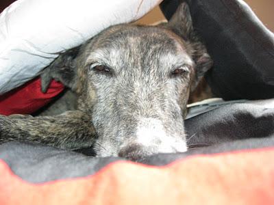 FELIZ NOCHE DE HALLOWEEN...