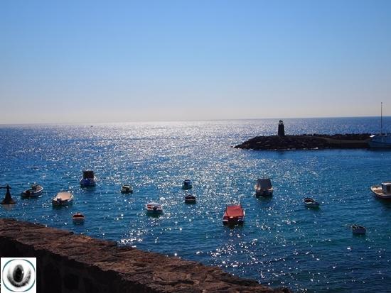 Lanzarote, mundo natural (I)