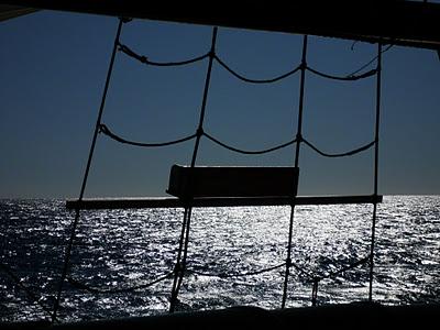 ¡Feliz Medio Aniversario!