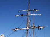 ¡Feliz Medio Aniversario!