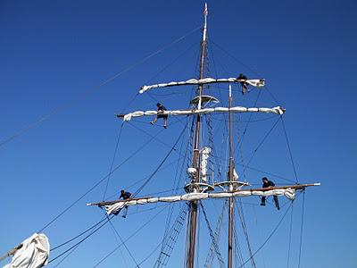 ¡Feliz Medio Aniversario!