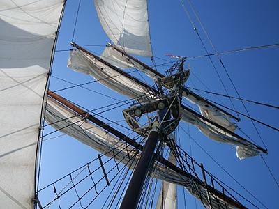 ¡Feliz Medio Aniversario!