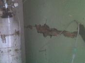 Visita Domiciliaria Integral