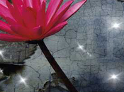 Avance editorial 2012: PUCK sorprende segunda entrega ALAS algo más...