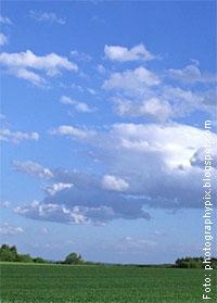 Extrañas y preciosas coincidencias