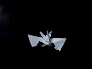 Murciélago Murciélago