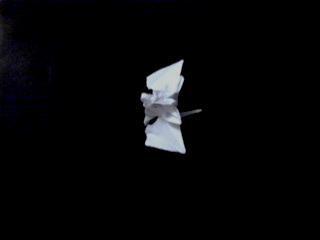 Murciélago Murciélago