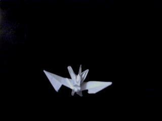 Murciélago Murciélago