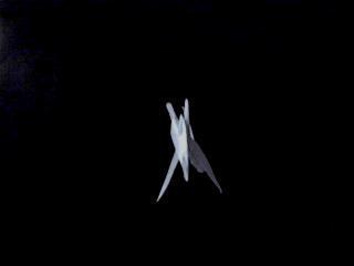 Murciélago Murciélago