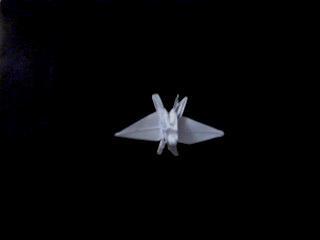 Murciélago Murciélago