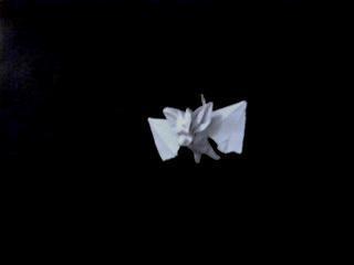 Murciélago Murciélago