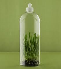 lavavajillas-ecologico