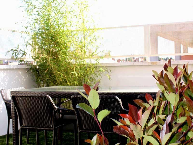 Antes y después: jardin en ático