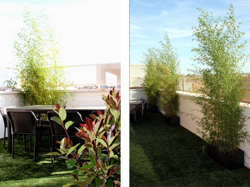 Antes y después: jardin en ático