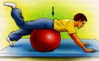 Ejercicios de estabilización lumbar y alineación con pelota de fitness