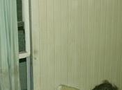 Kitchen's Floor Look Forward Nothing (Siltbreeze,2011)