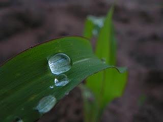 Relaciones Internacionales descentralizadas y agua