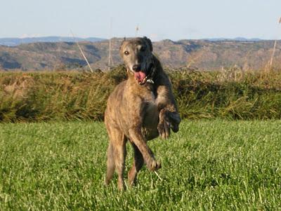 Una gran diferencia de una vida a otra...