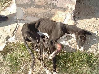 Una gran diferencia de una vida a otra...