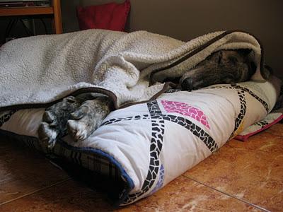 Una gran diferencia de una vida a otra...