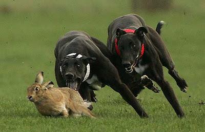 Una gran diferencia de una vida a otra...