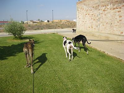 Una gran diferencia de una vida a otra...