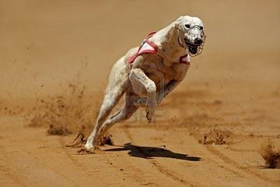 Una gran diferencia de una vida a otra...