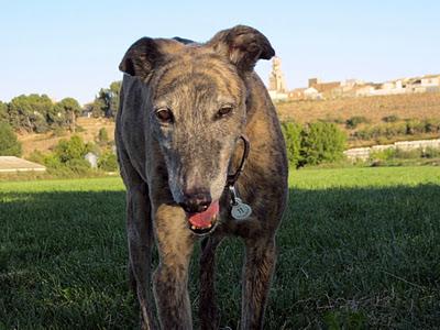 Una gran diferencia de una vida a otra...