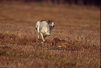 Una gran diferencia de una vida a otra...