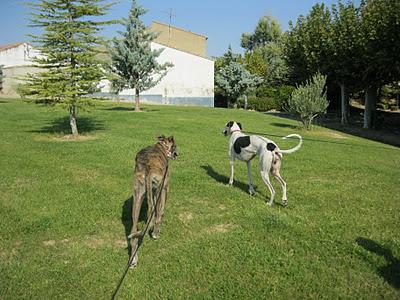 Una gran diferencia de una vida a otra...
