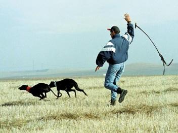 Una gran diferencia de una vida a otra...