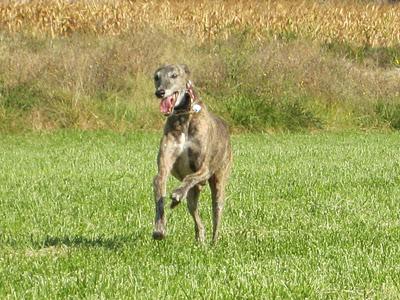 Una gran diferencia de una vida a otra...