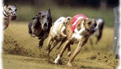 Una gran diferencia de una vida a otra...