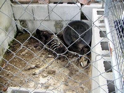 Una gran diferencia de una vida a otra...