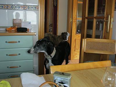 Una gran diferencia de una vida a otra...