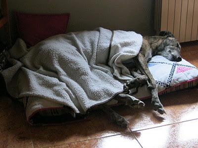 Una gran diferencia de una vida a otra...