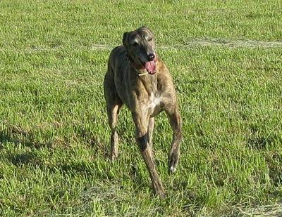 Una gran diferencia de una vida a otra...