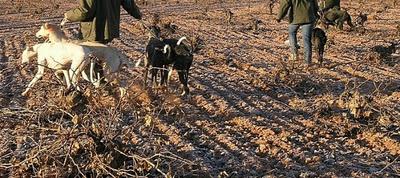 Una gran diferencia de una vida a otra...