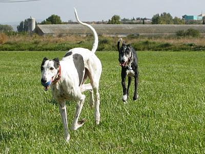 Una gran diferencia de una vida a otra...