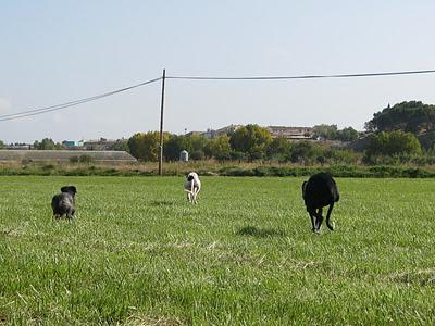Una gran diferencia de una vida a otra...