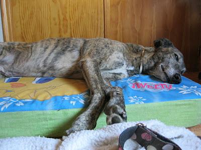 Una gran diferencia de una vida a otra...