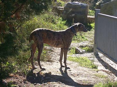 Una gran diferencia de una vida a otra...