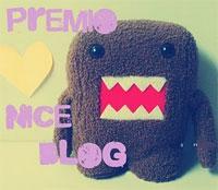 MI PRIMER PREMIO “NICE BLOG”